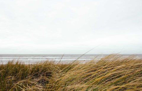 galeri-5.jpg
